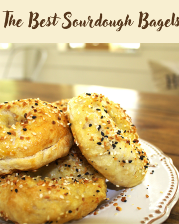 Sourdough bagels on a white plate