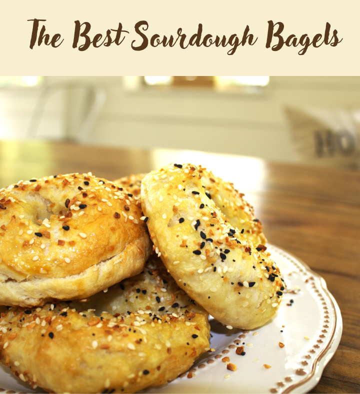 Sourdough bagels on a white plate