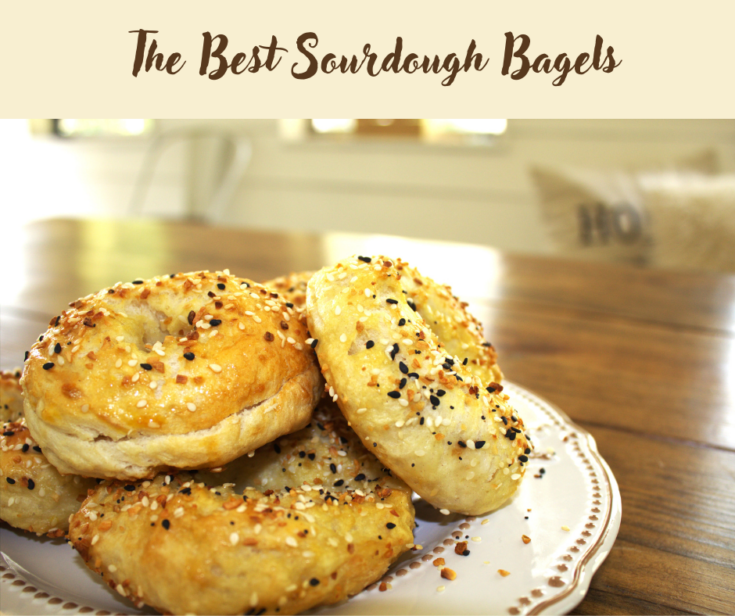 Sourdough bagels on a white plate